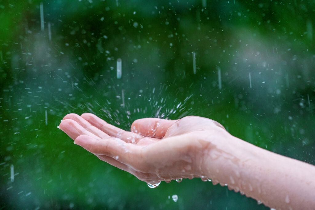 Regenwater